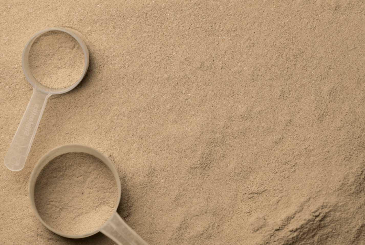 Protein Powder