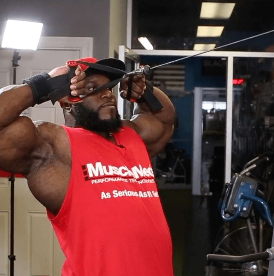 Rear Delt High Pull