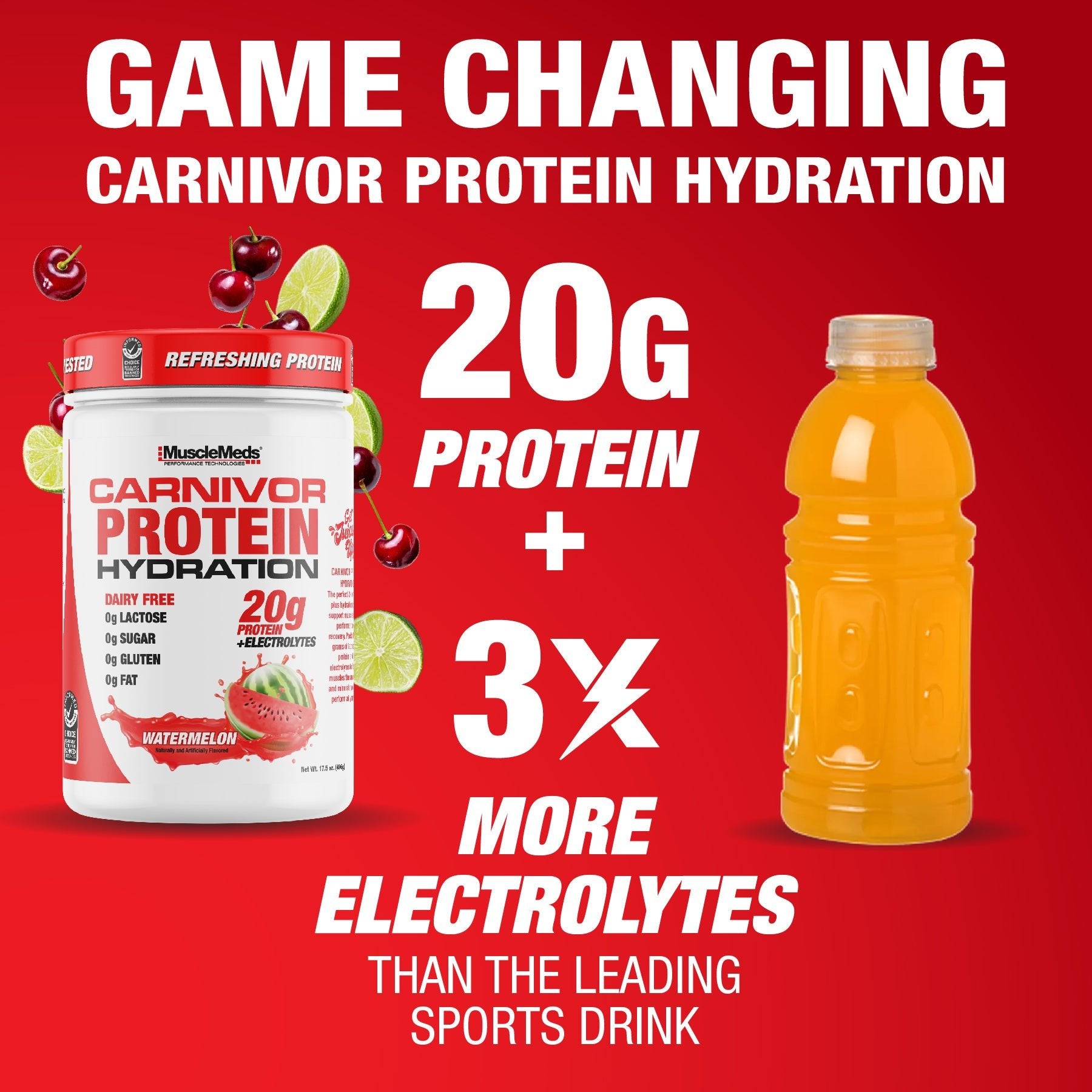 CARNIVOR PROTEIN HYDRATION Powder