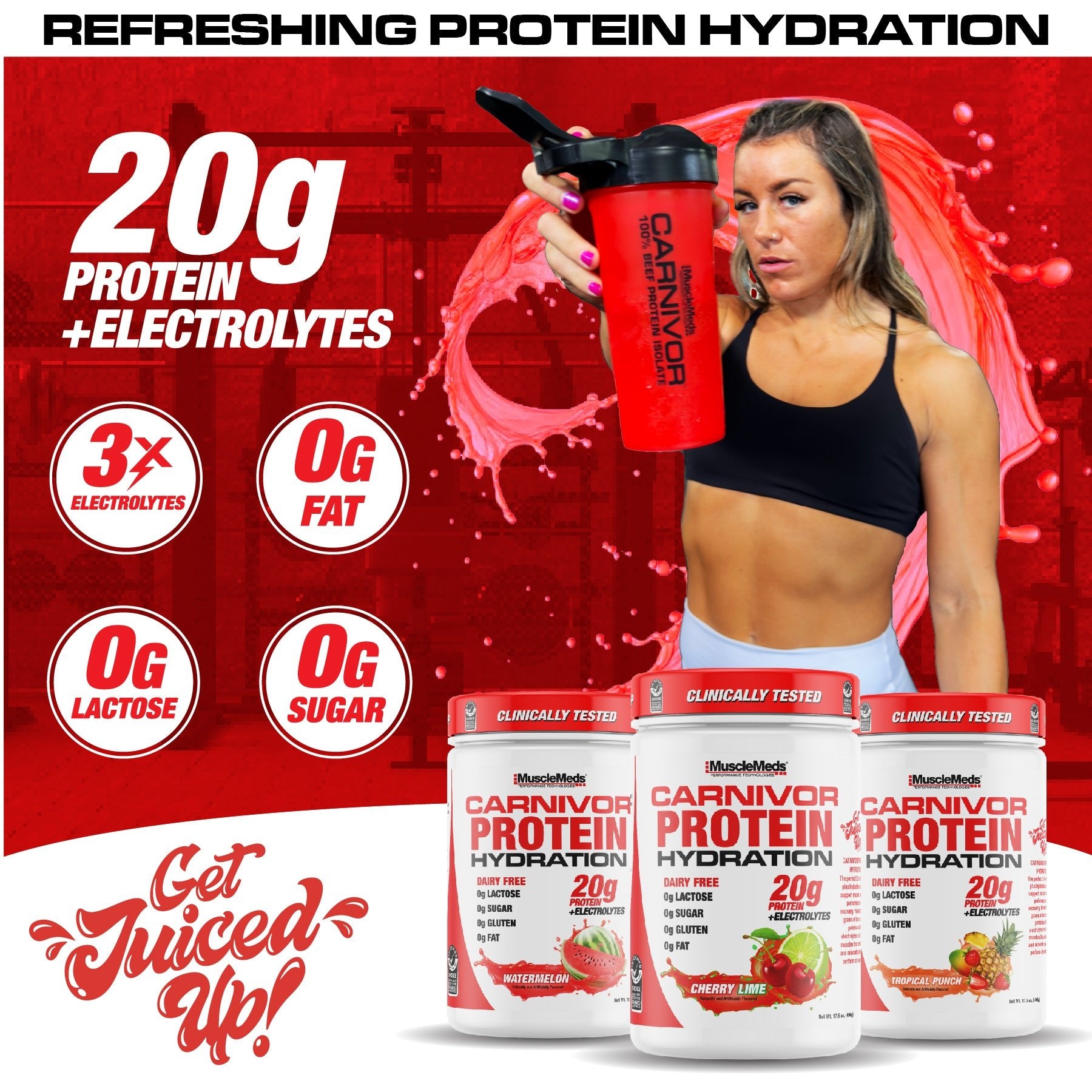 CARNIVOR PROTEIN HYDRATION Powder