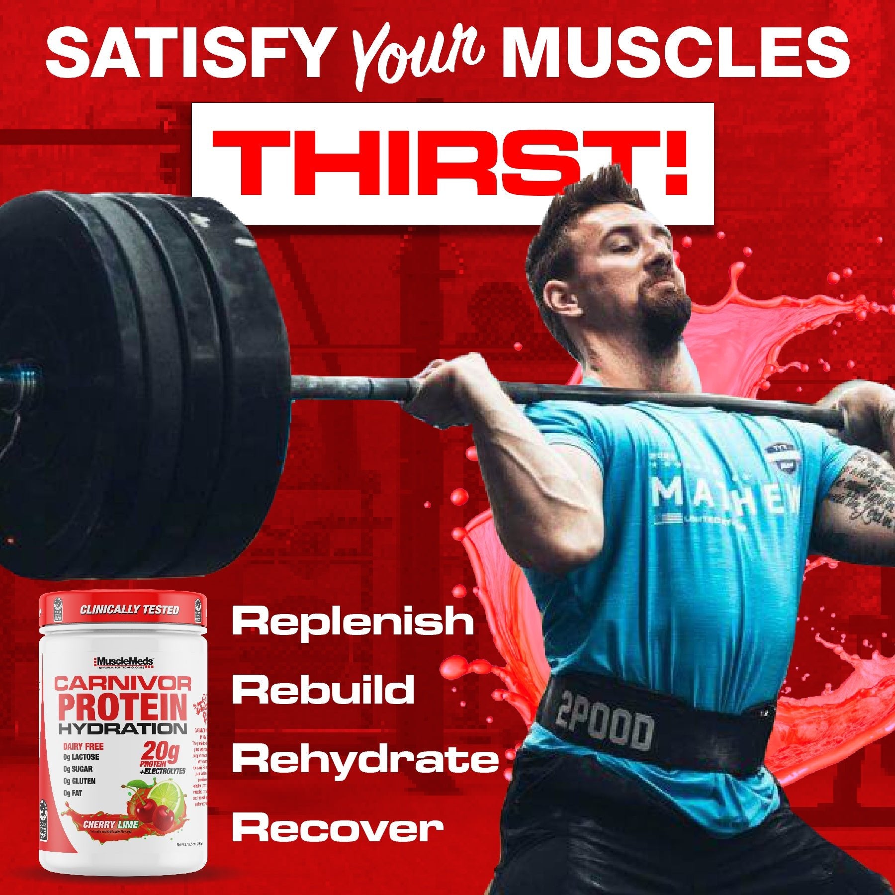 CARNIVOR PROTEIN HYDRATION Powder