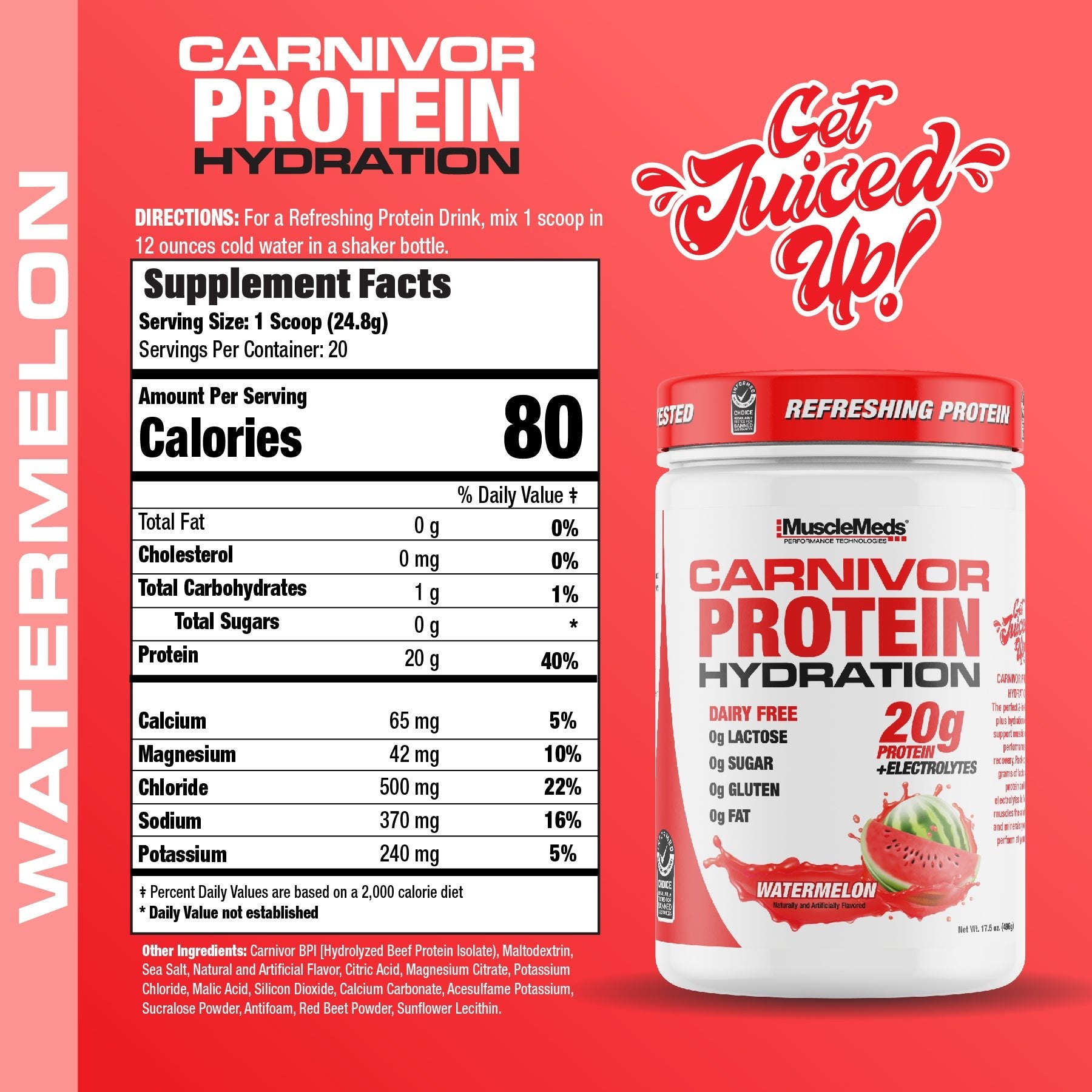 CARNIVOR PROTEIN HYDRATION Powder