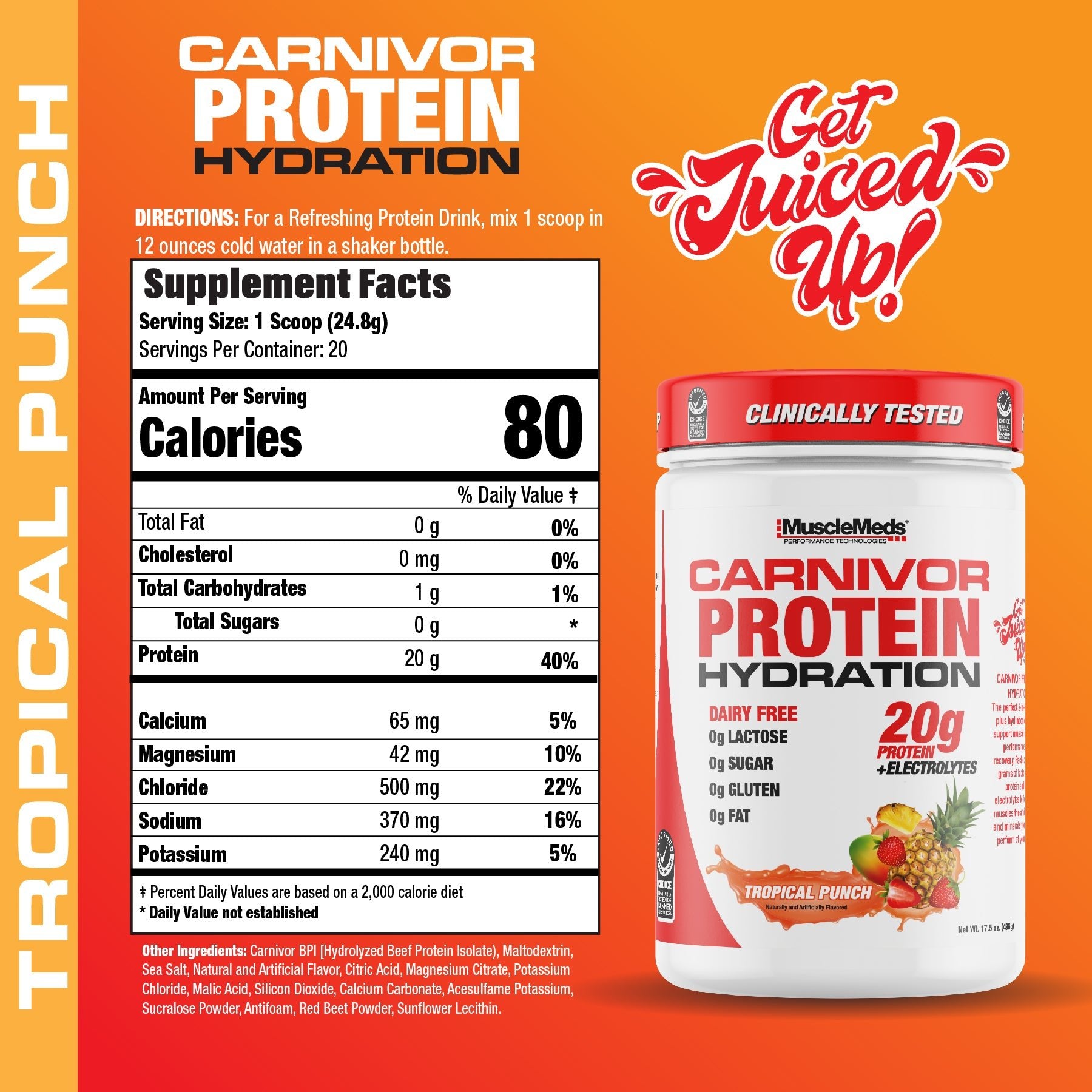CARNIVOR PROTEIN HYDRATION Powder