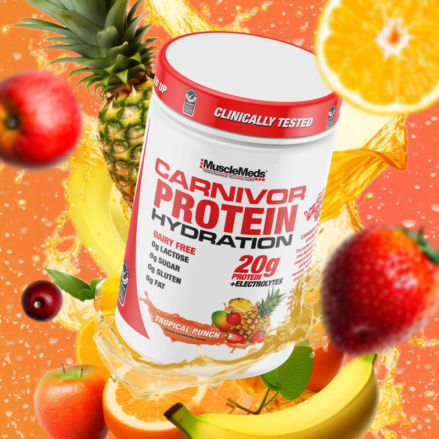 CARNIVOR PROTEIN HYDRATION Powder