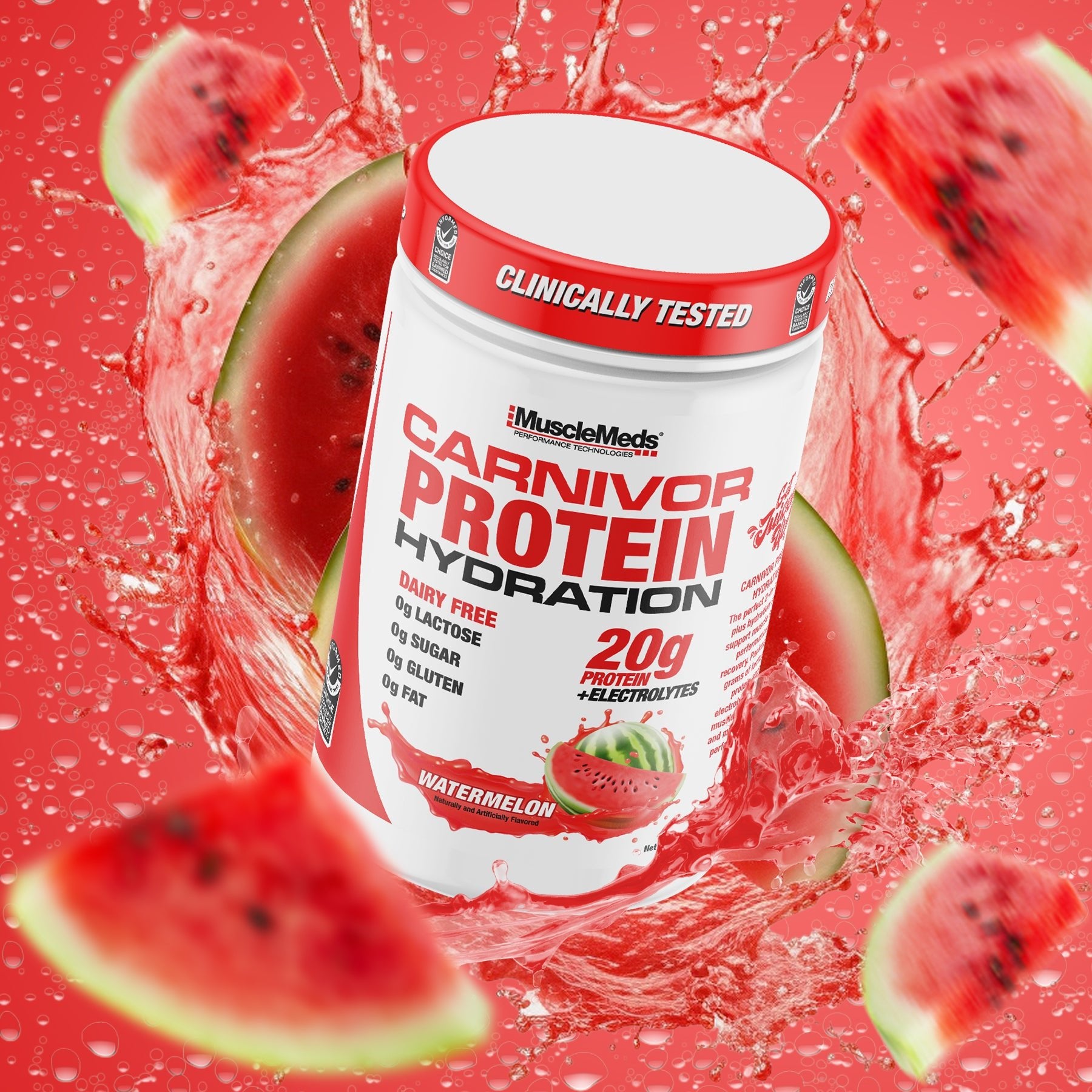 CARNIVOR PROTEIN HYDRATION Powder