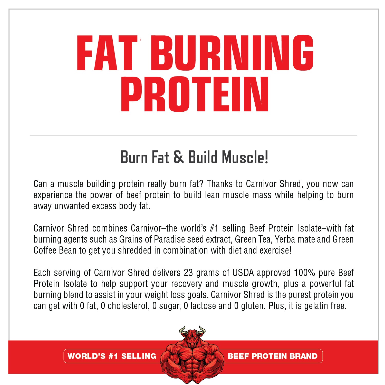 Carnivor Shred - 100% Beef Protein + Fat Burn