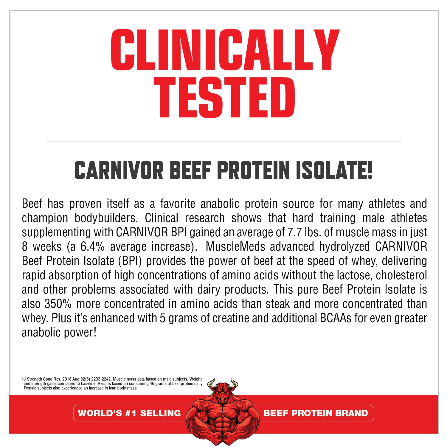 Carnivor - 100% Beef Protein