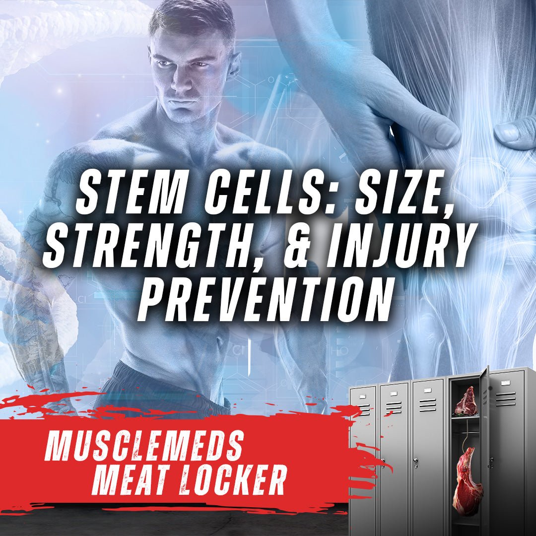 Stem Cells & Muscular Strength, Hypertrophy, and Injury Prevention