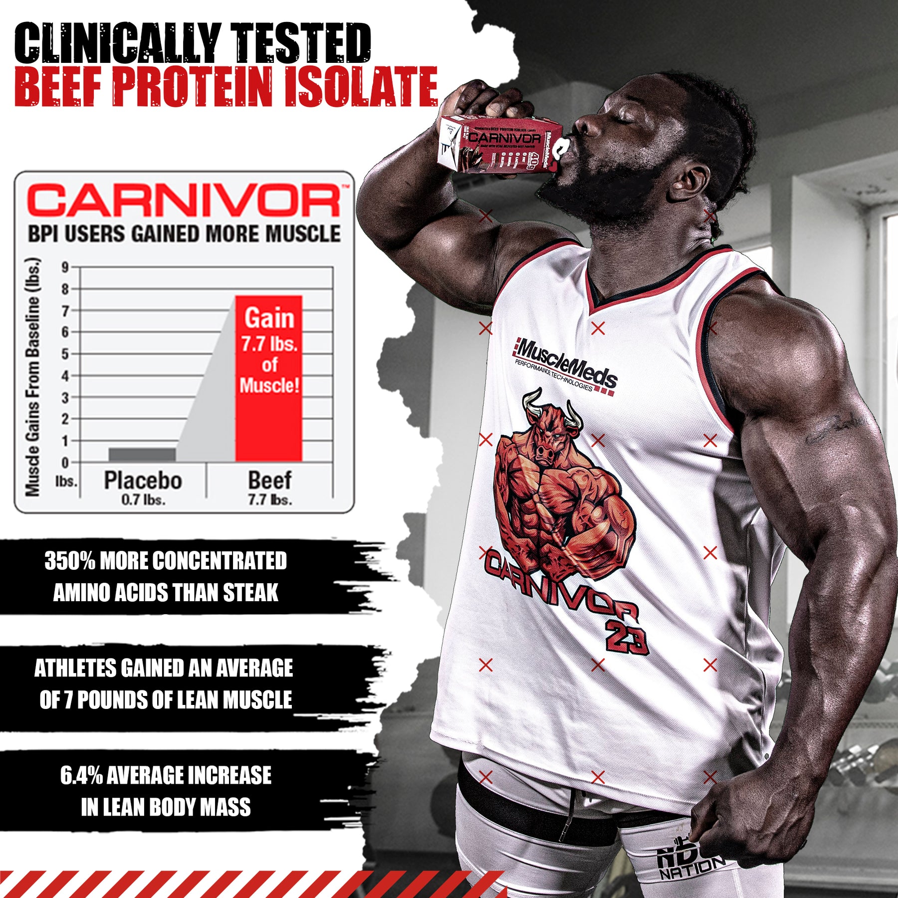 Carnivor RTD - 12 Pack / 40g of Beef Protein Isolate / Protein Shake