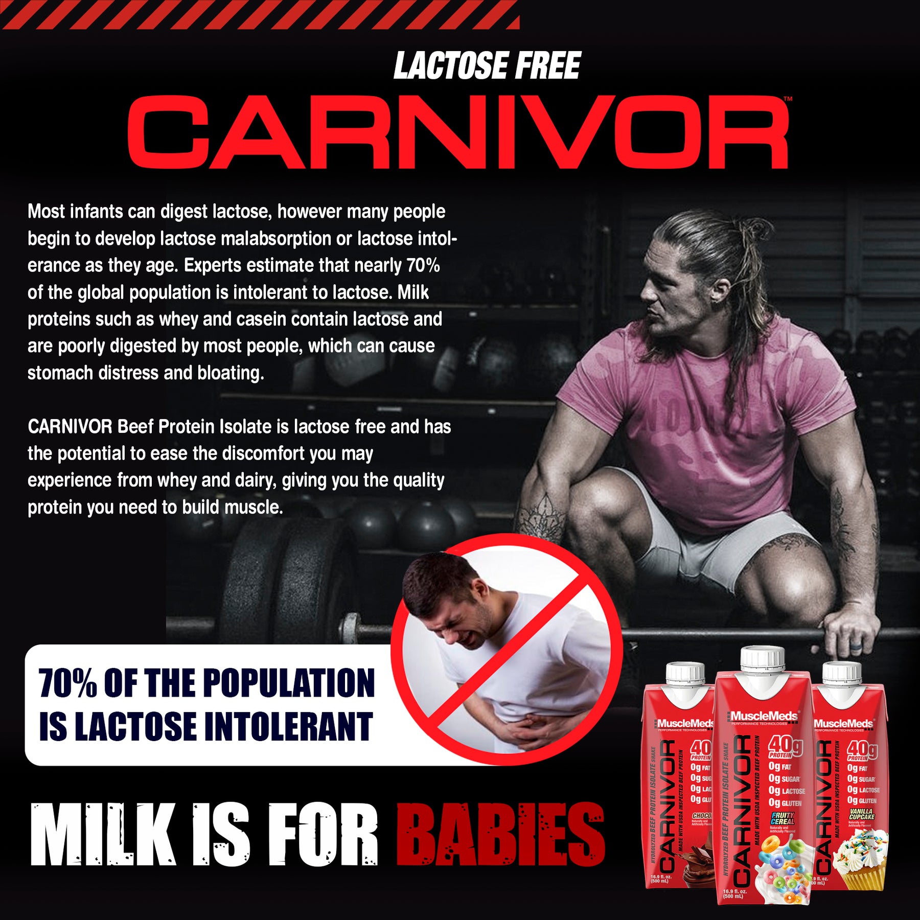 Carnivor RTD - 12 Pack / 40g of Beef Protein Isolate / Protein Shake